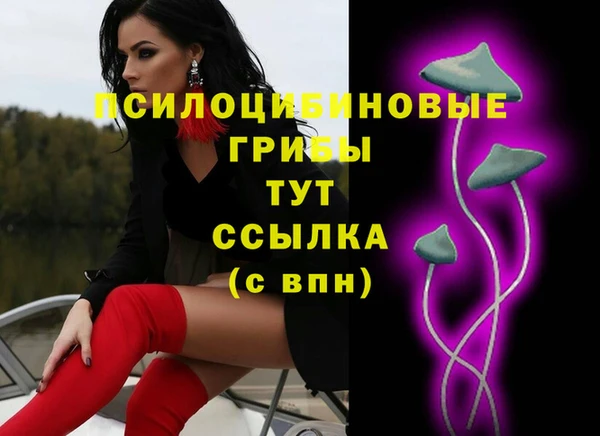 mdpv Елабуга