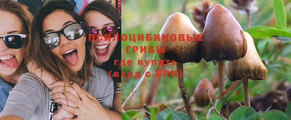 mdpv Елабуга