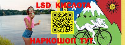 шишки Бузулук