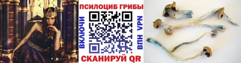Псилоцибиновые грибы прущие грибы  Ишимбай 