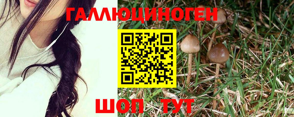 Ишимбай  как найти наркотики  Вход с VPN  Галлюциногенные грибы прущие грибы 