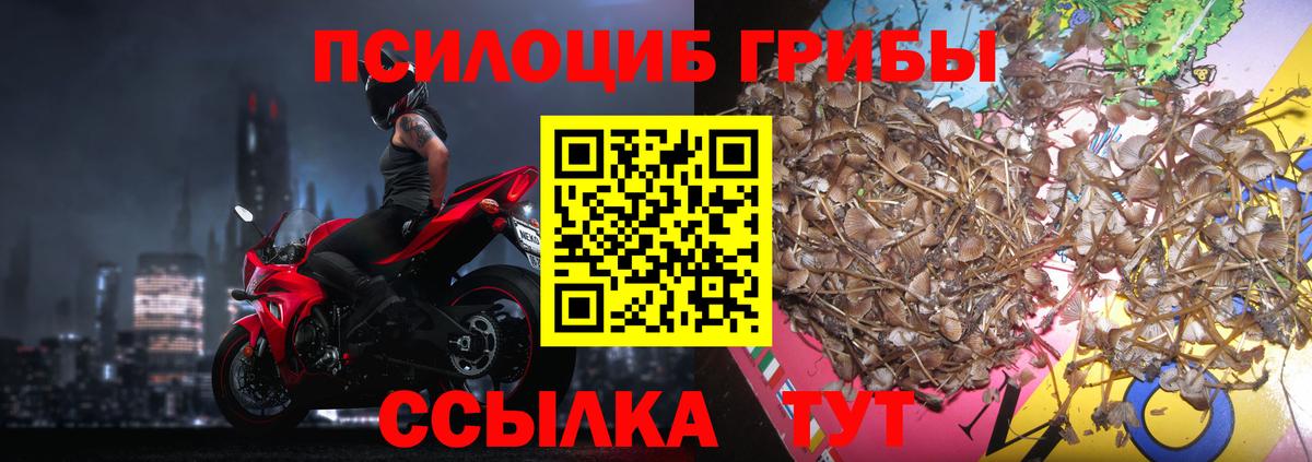 Галлюциногенные грибы MAGIC MUSHROOMS  Ишимбай 