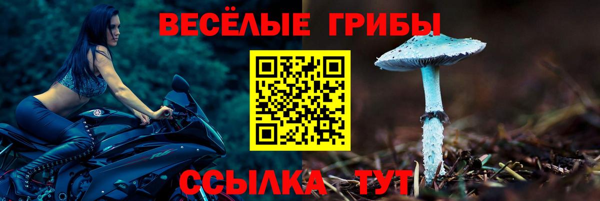 Псилоцибиновые грибы мухоморы Ишимбай
