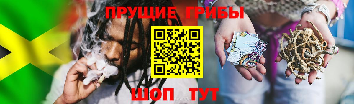 Галлюциногенные грибы Magic Shrooms Ишимбай